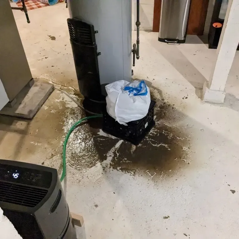 Sewage Backup Cleanup Service in Due West, SC